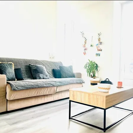 Spacieux 4 Couchage Plein Centre Apartment Nizza